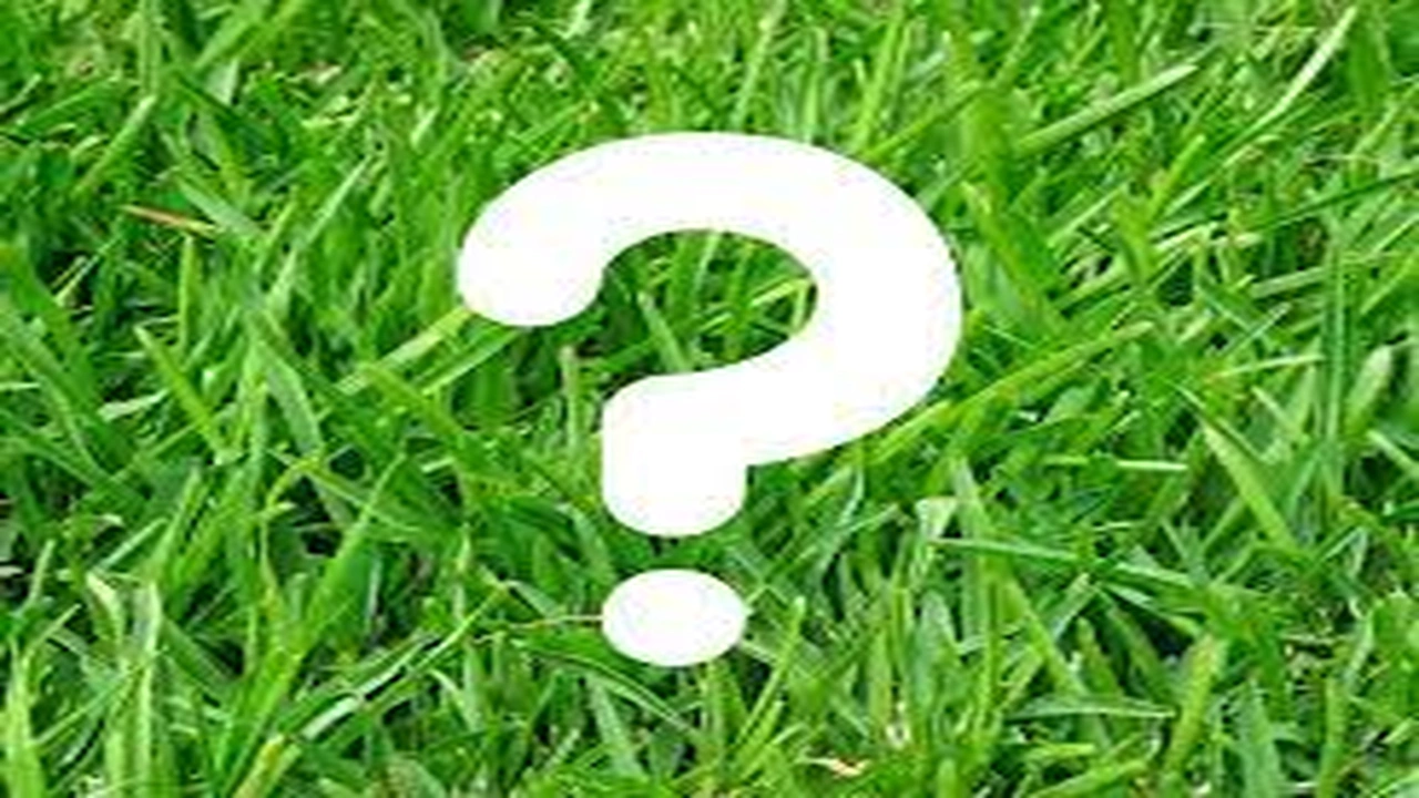 صورة ما هو الحيوان الذي يكون سنة ذكر وسنة انثى