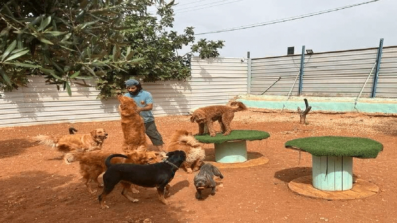 صورة محل كلاب في البحرين