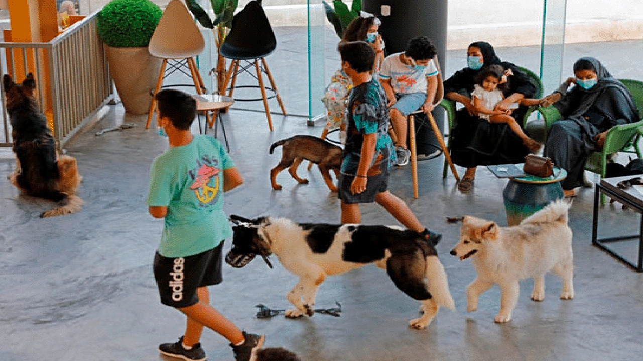 صورة محل كلاب في جدة