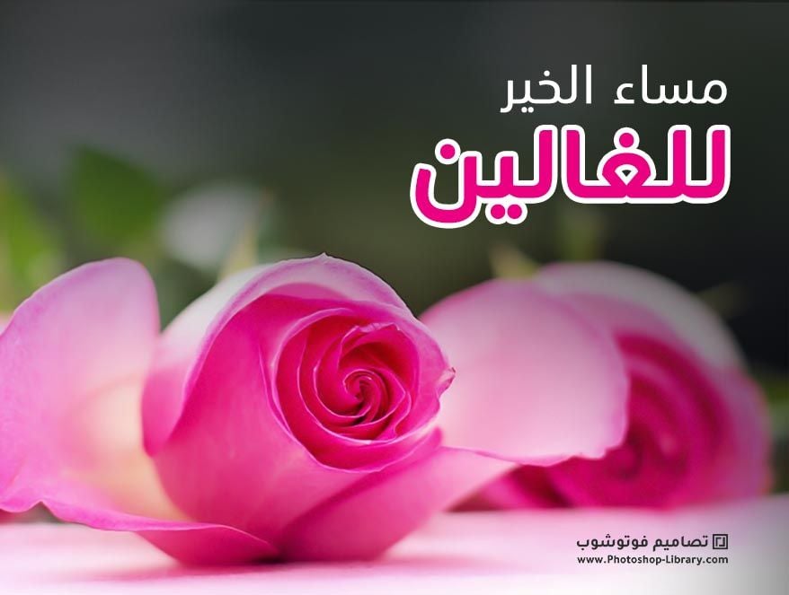 مساء الخير بالصور