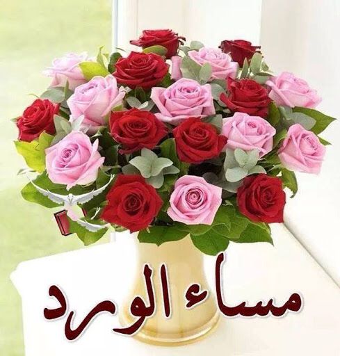 مساء الخير بالصور