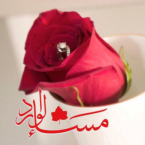 مساء الخير بالصور