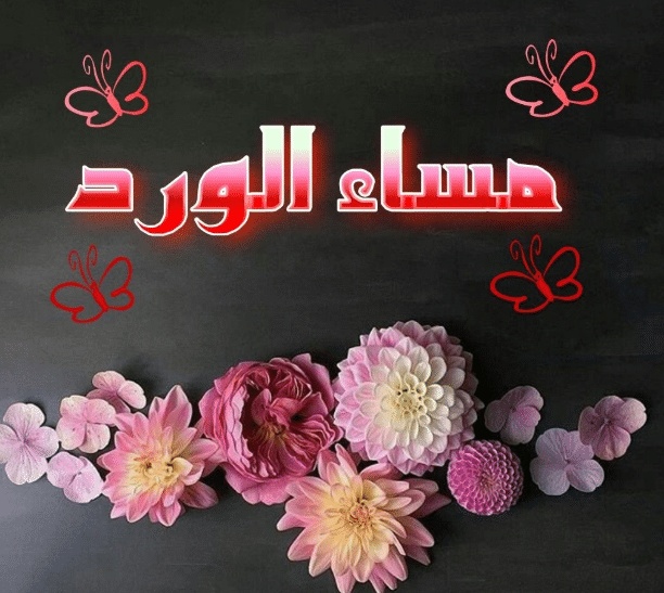 مساء الخير حبيبتي