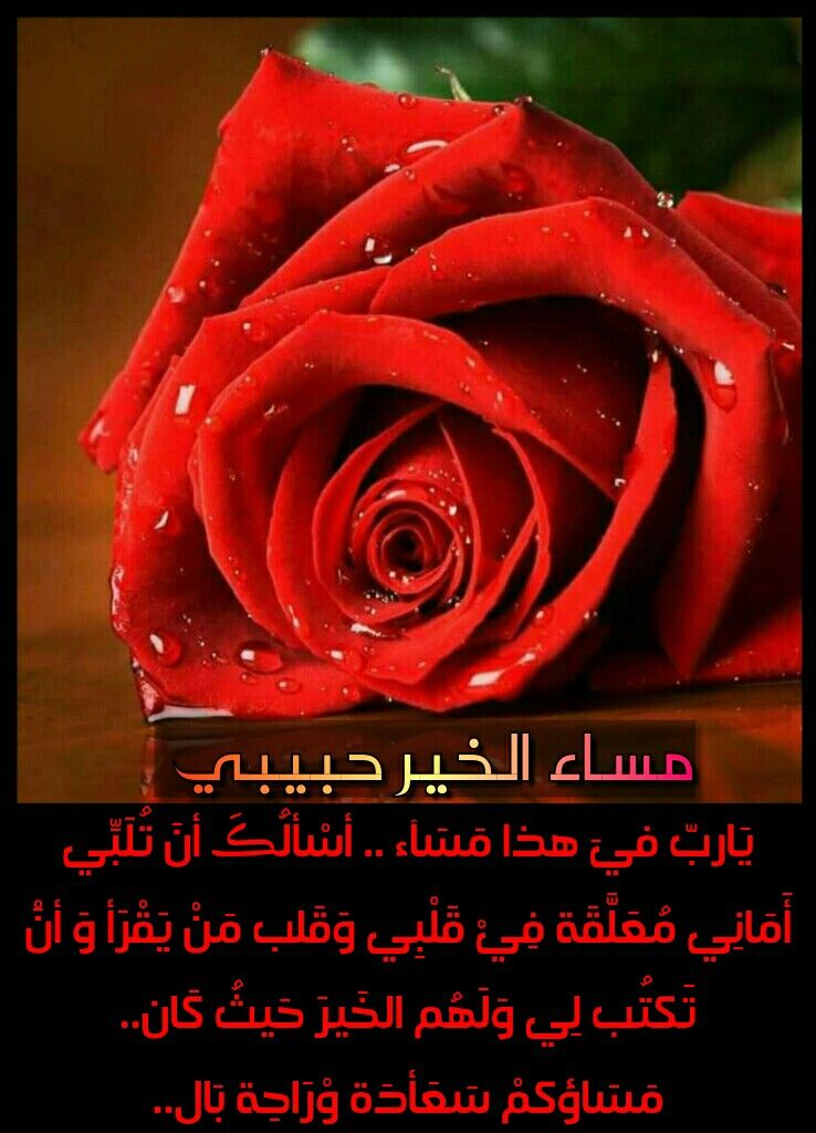 مساء الخير حبيبي بالصور