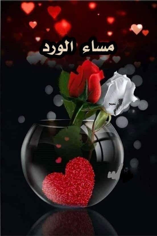 مساء الخير حبيبي بالصور