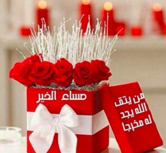 مساء الخير حبيبي بالصور