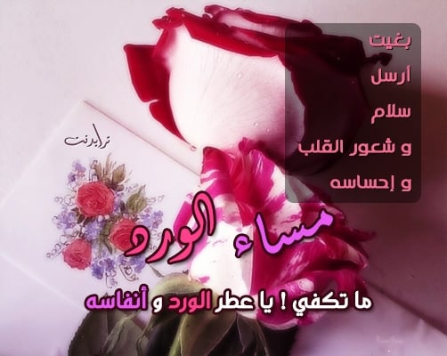 مساء الخير حبيبي بالصور