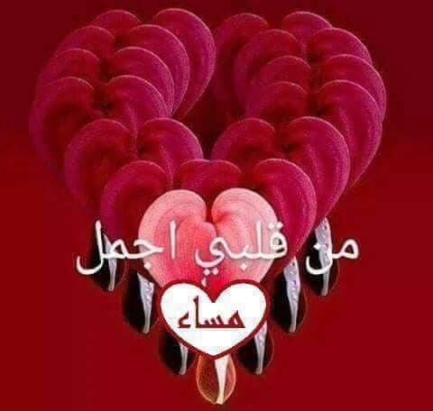 مساء الخير حبيبي بالصور