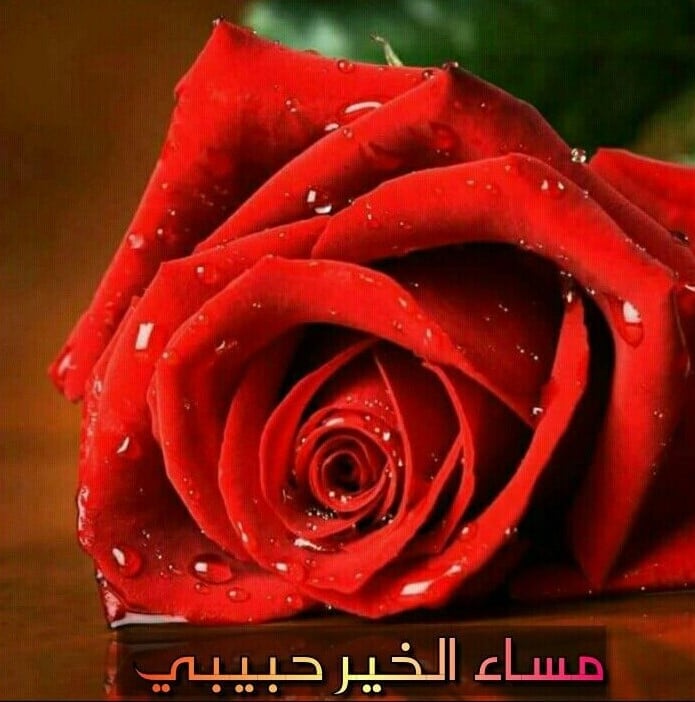 مساء الخير حبيبي