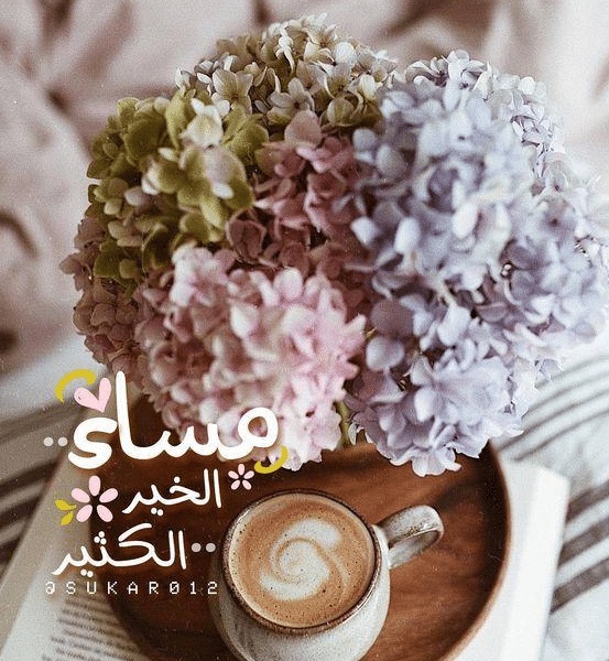 مساء الخير شعر