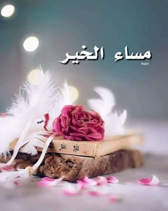 مساء الخير