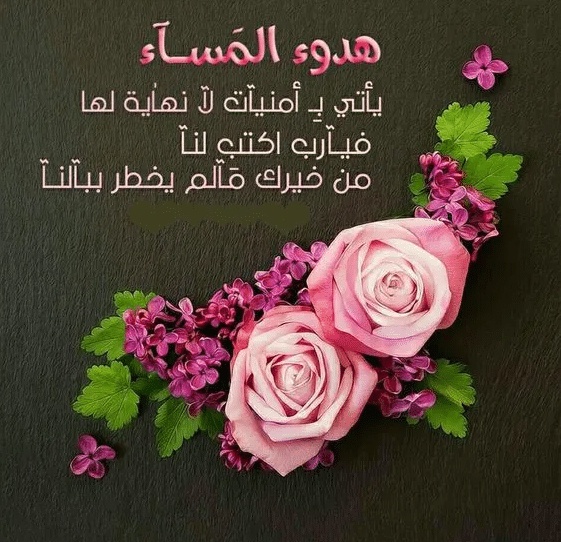 مساء الخير
