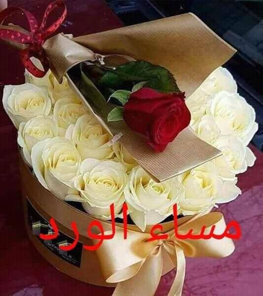 مساء الخير