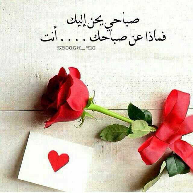 مسجات جديدة