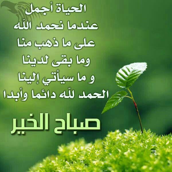 مسجات جديدة