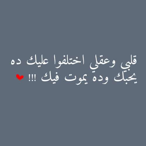 مسجات جديدة