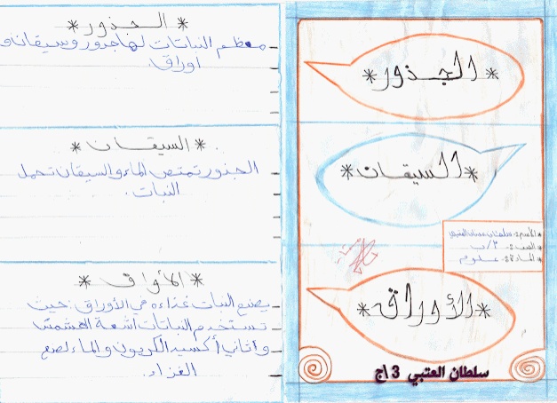 مطويات خصائص الجمع