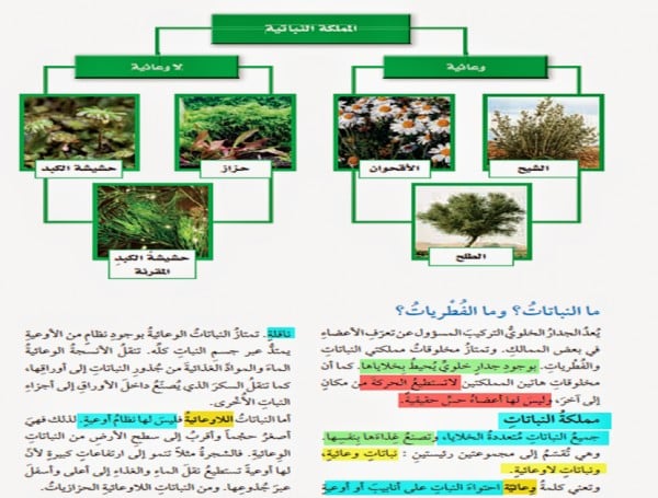 مطويات عن البيئة والتلوث