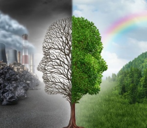 مطويات عن البيئة والتلوث