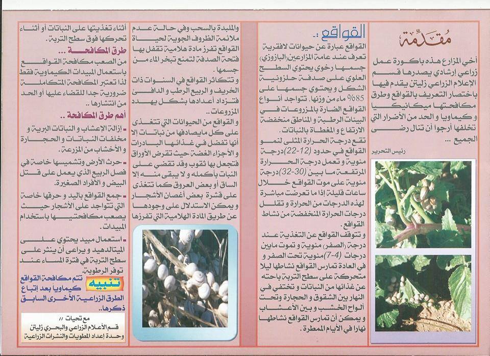مطويات عن الزراعه