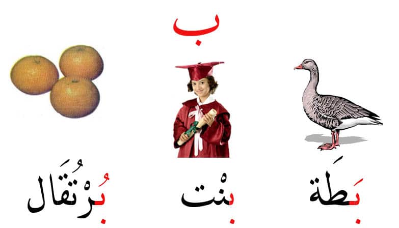 مطويات عن حرف الباء