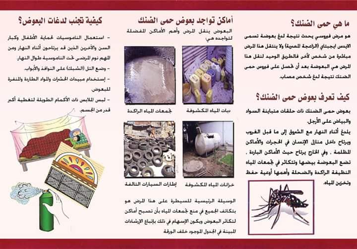 مطويات عن حمى الضنك