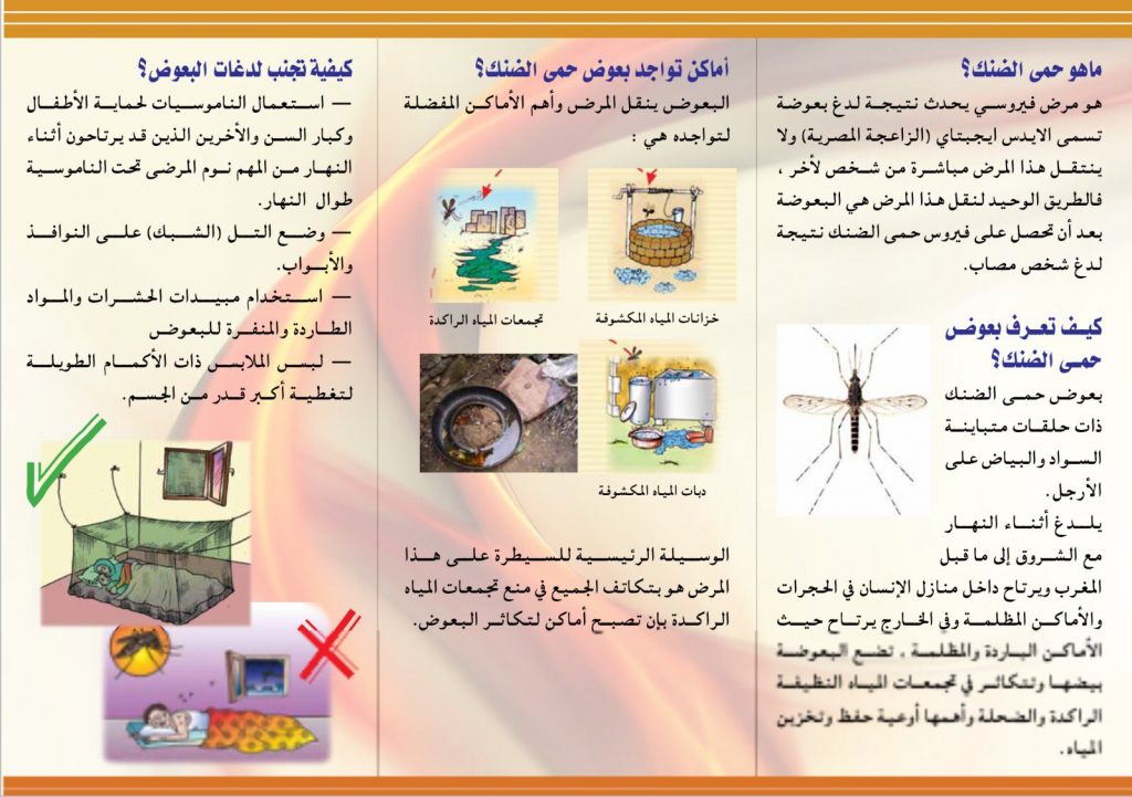 مطويات عن حمى الضنك