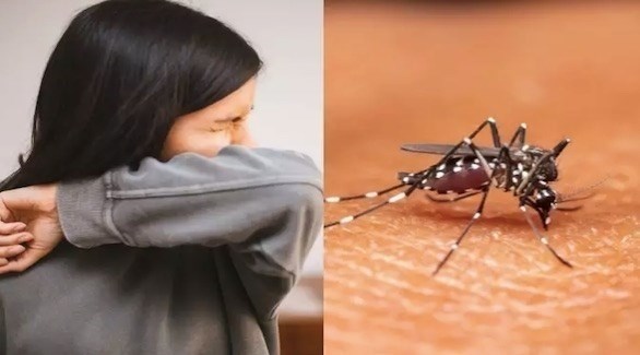 مطويات عن حمى الضنك