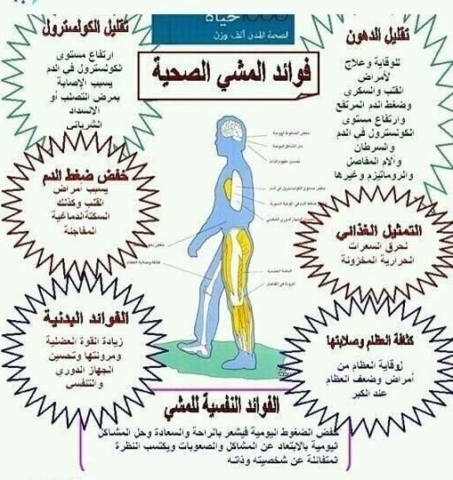 مطويات عن رياضة المشي