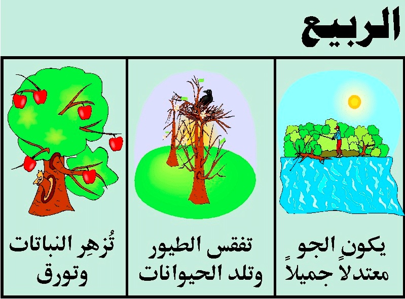 مطويات عن فصل الربيع