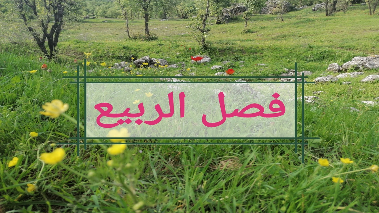 صورة مطويات عن فصل الربيع