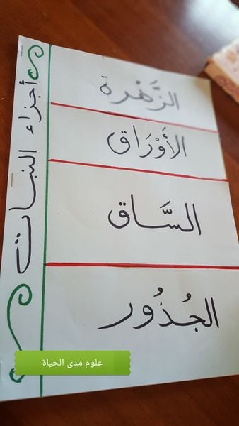 مطويات عن مادة العلوم