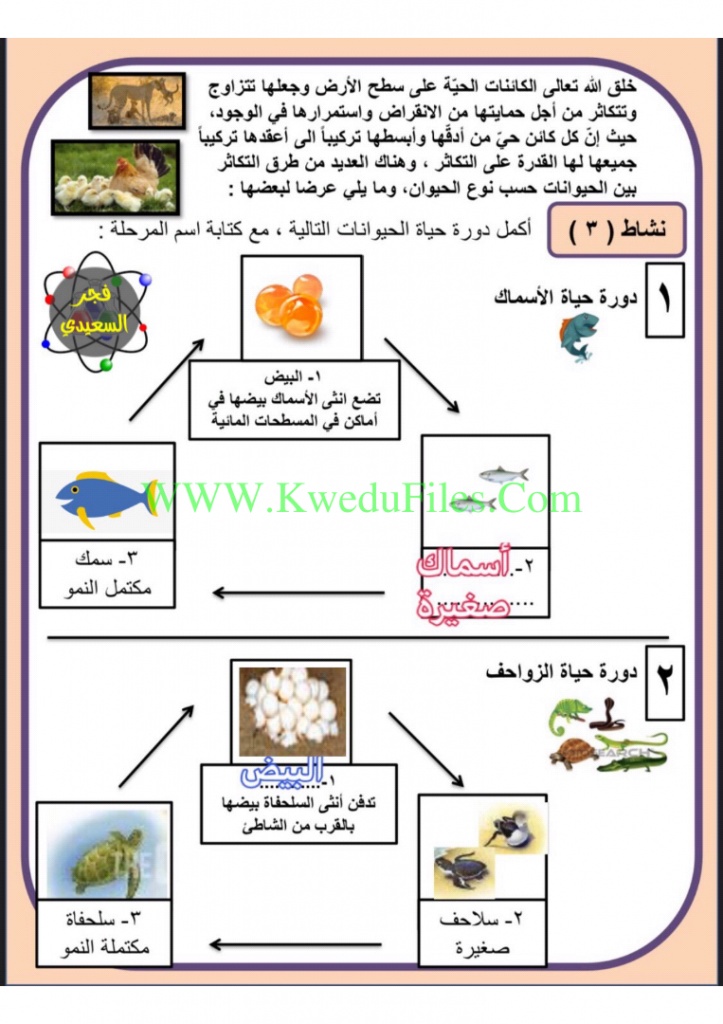 مطويات عن مادة العلوم