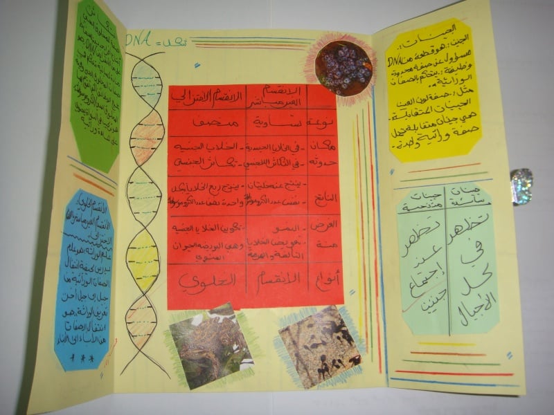 مطويات عن مادة العلوم