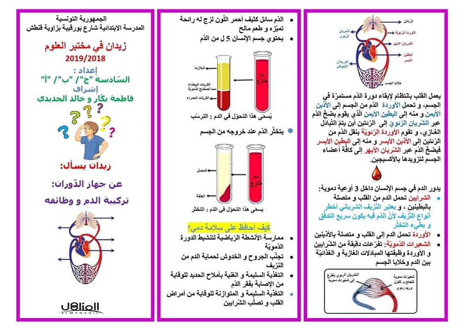 مطوية عن جهاز الدوران