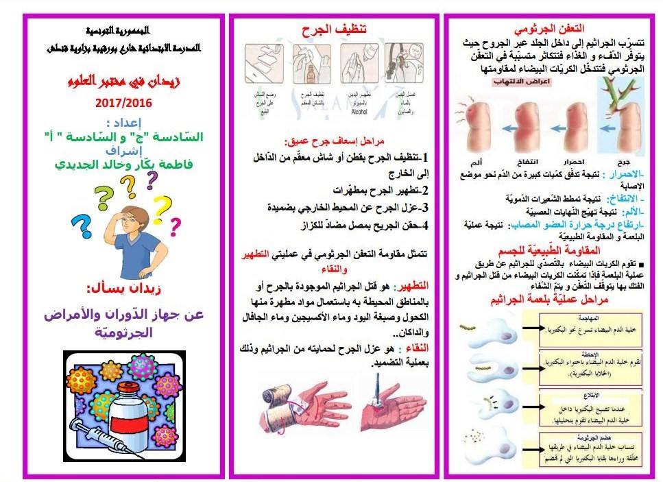 مطوية عن جهاز الدوران