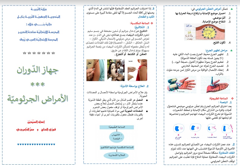 مطوية عن جهاز الدوران