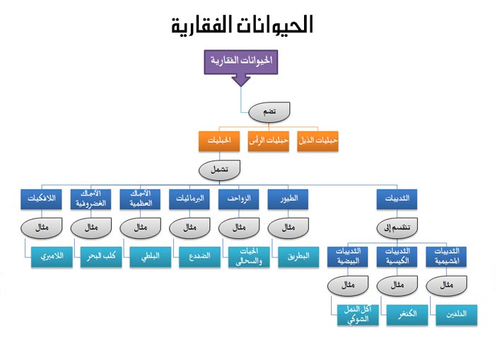 مطوية عن فصائل مجموعات الحيوانات الفقارية 