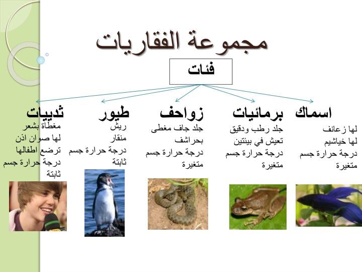 مطوية عن فصائل مجموعات الحيوانات الفقارية 