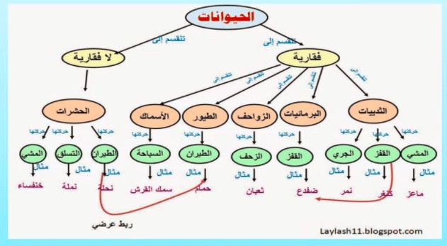 مطوية عن فصائل مجموعات الحيوانات الفقارية 