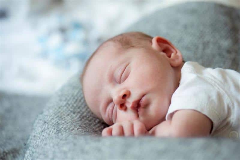 معلومات عن الاطفال حديثي الولادة