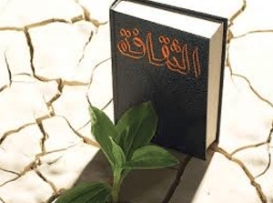 مفهوم الثقافة