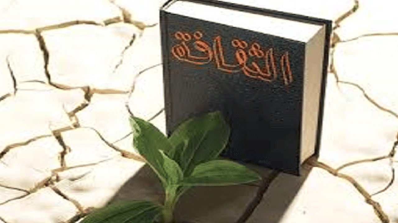 صورة مفهوم الثقافة