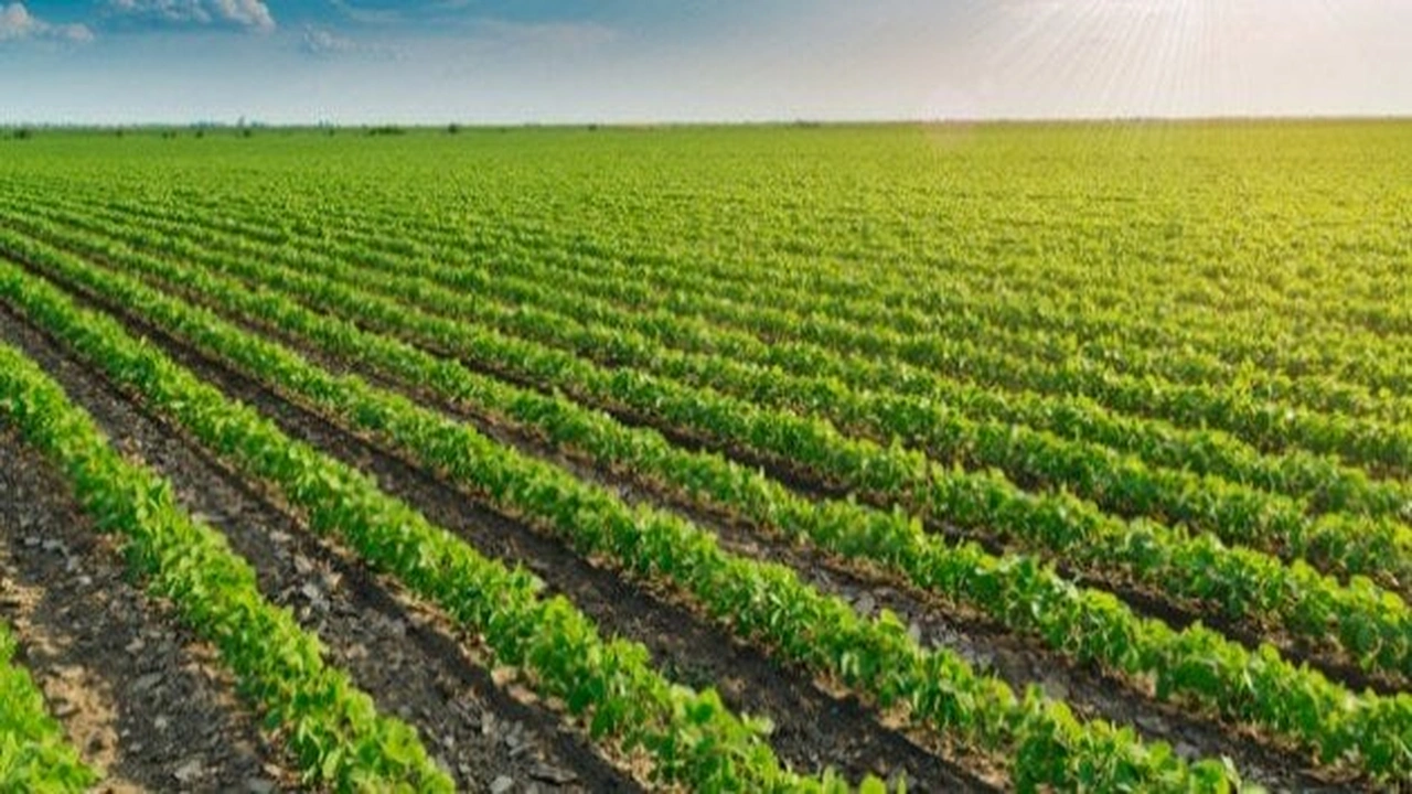 صورة مقدمة اذاعة مدرسية عن الزراعة