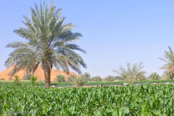 مقدمة بحث زراعي