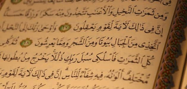 مقدمة بحث سورة النحل