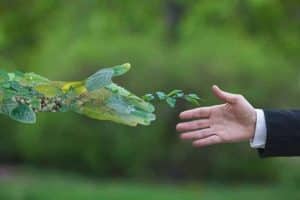 مقدمة قصيرة عن البيئة