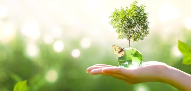 مقدمة وخاتمة عن البيئة