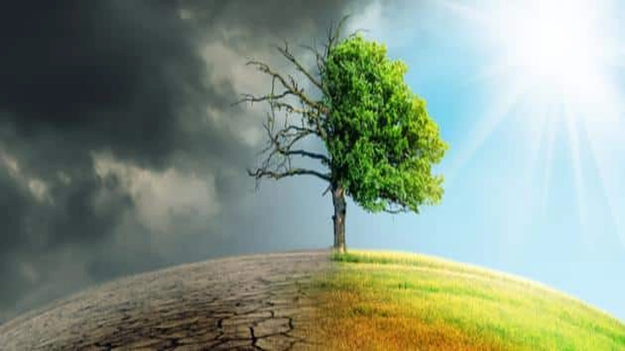 صورة مقدمة وخاتمة عن التغيرات المناخية