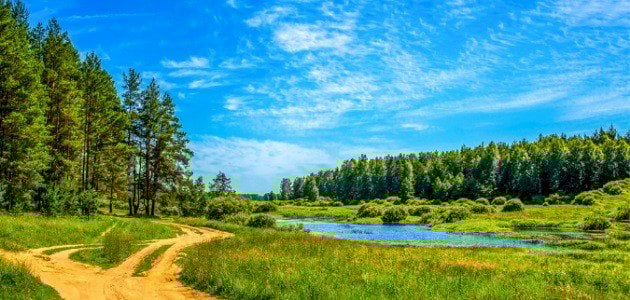 مقدمة وخاتمة عن الطبيعة